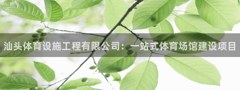 意昂3神州
