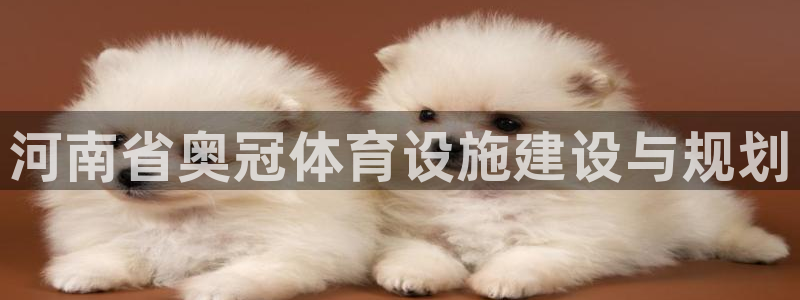意昂3官方：河南省奥冠体育设施建设与规划