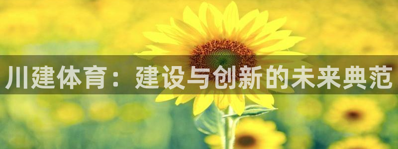 意昂体育3平台注册要钱吗安全吗：川建体育：建设与创新的未来典