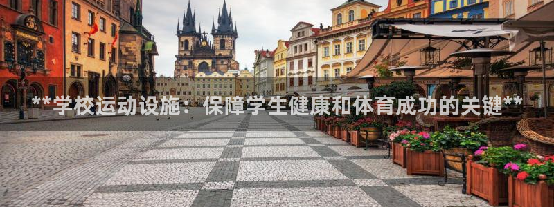 意昂3集团简介：**学校运动设施：保障学生健康和体育
