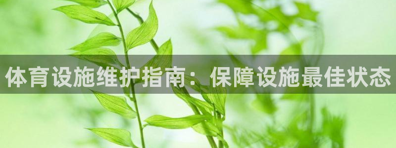 意昂集团官网：体育设施维护指南：保障设施最佳状态