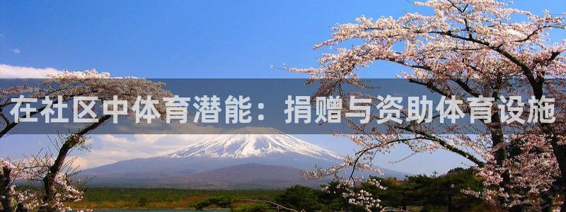 意昂3代理：在社区中体育潜能：捐赠与资助体育设施