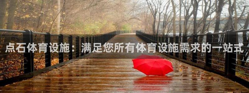 意昂3娱乐40996：点石体育设施：满足您所有体育设