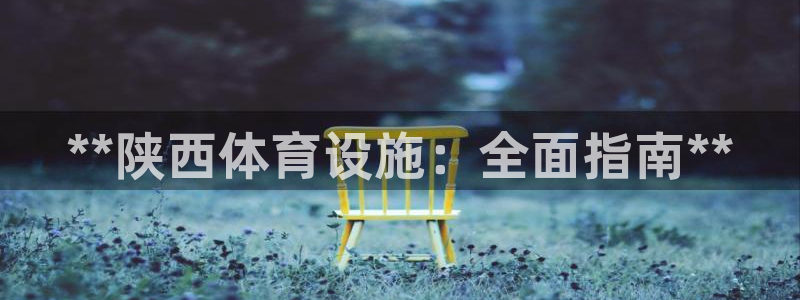 意昂3五金厂：**陕西体育设施：全面指南**