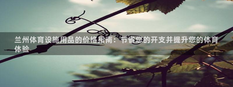 意昂3开户：兰州体育设施用品的价格指南：节省您的开支