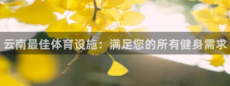 意昂体育3招商电话是多少啊：云南最佳体育设施：满足您