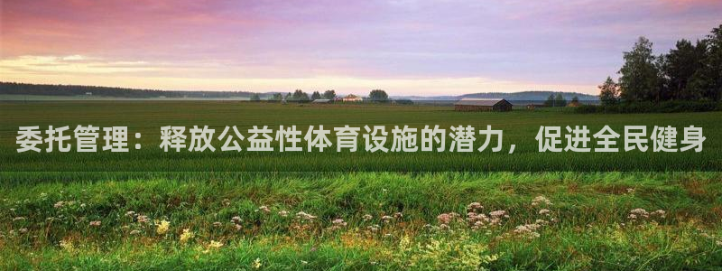 意昂体育3平台APP：委托管理：释放公益性体育设施的