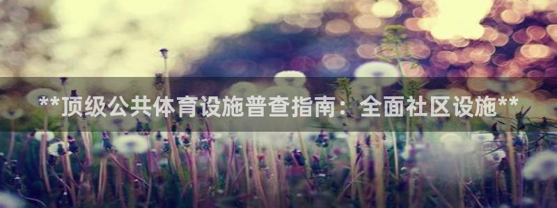 意昂体育3平台是正规平台吗知乎：**顶级公共体育设施