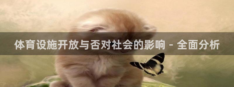 意昂体育3官方客服电话：体育设施开放与否对社会的影响