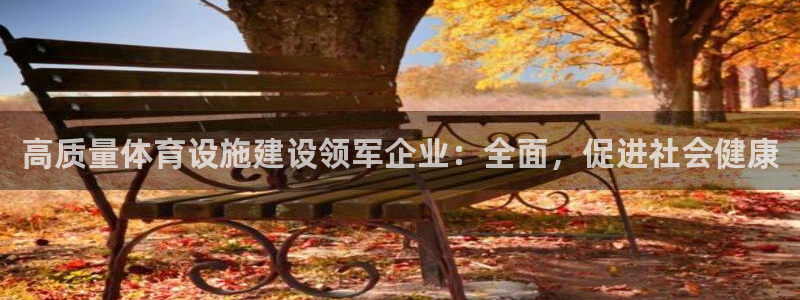 意昂体育3平台注册：高质量体育设施建设领军企业：全面