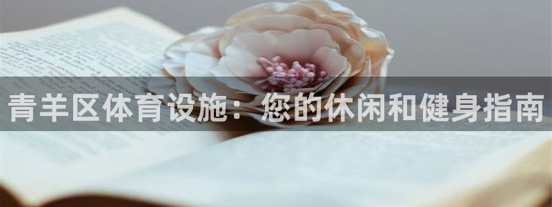 意昂集团官网：青羊区体育设施：您的休闲和健身指南