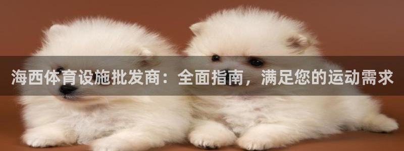 意昂体育3招商电话号码是多少啊：海西体育设施批发商：