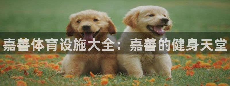 意昂体育3招商电话号码查询是多少：嘉善体育设施大全：