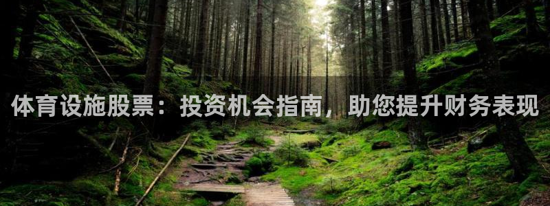 意昂体育3平台注册：体育设施股票：投资机会指南，助您