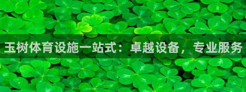 意昂3开户：玉树体育设施一站式：卓越设备，专业服务