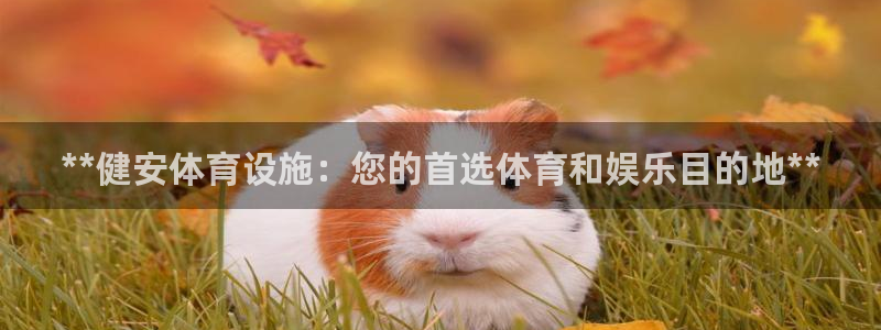 意昂3集团官网首页：**健安体育设施：您的首选体育和