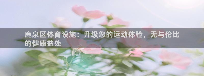 意昂3娱乐首页官网下载：鹿泉区体育设施：升级您的运动
