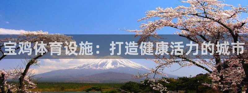 意昂体育3是干嘛的公司：宝鸡体育设施：打造健康活力的