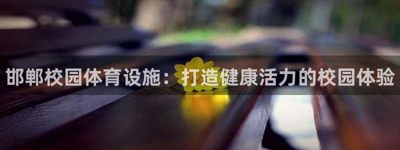意昂3集团：邯郸校园体育设施：打造健康活力的校园体验
