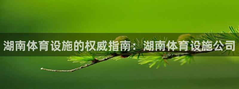 意昂体育3是干嘛的公司：湖南体育设施的权威指南：湖南