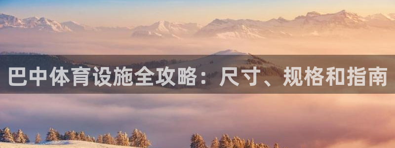 意昂体育3招商：巴中体育设施全攻略：尺寸、规格和指南