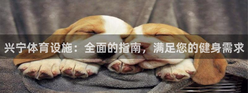 意昂3娱乐首页网站大全：兴宁体育设施：全面的指南，满