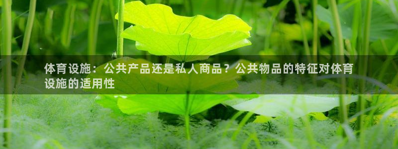 意昂3娱乐下载：体育设施：公共产品还是私人商品？公共