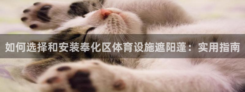 意昂体育3开户：如何选择和安装奉化区体育设施遮阳蓬：