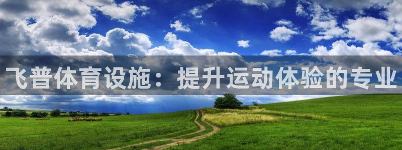 意昂体育3平台是正规平台吗安全吗：飞普体育设施：提升