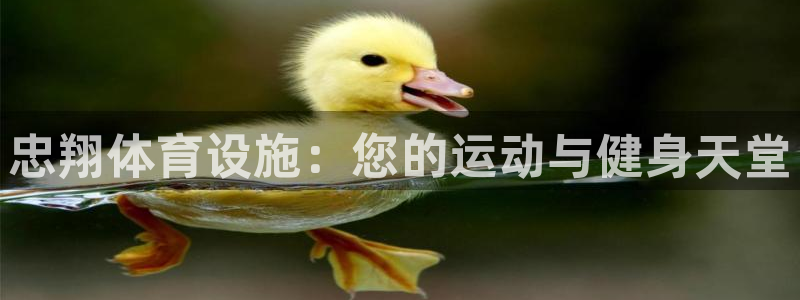 意昂体育3平台注册要钱吗：忠翔体育设施：您的运动与健