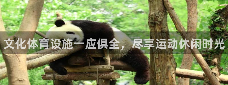 意昂体育3招商电话号码查询：文化体育设施一应俱全，尽