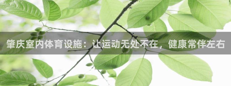 意昂3神州：肇庆室内体育设施：让运动无处不在，健康常