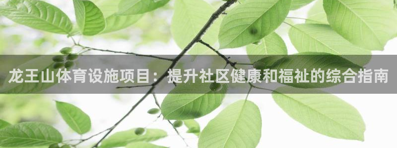 意昂体育3平台注册要钱吗是真的吗：龙王山体育设施项目