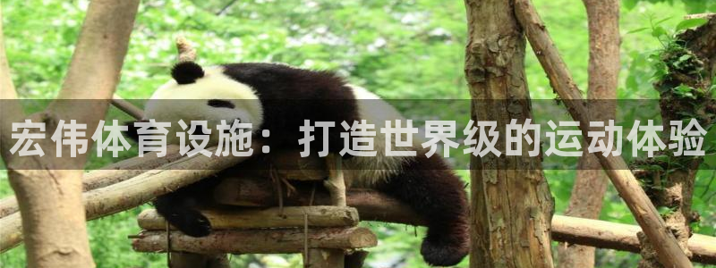 意昂3集团官网首页网址：宏伟体育设施：打造世界级的运
