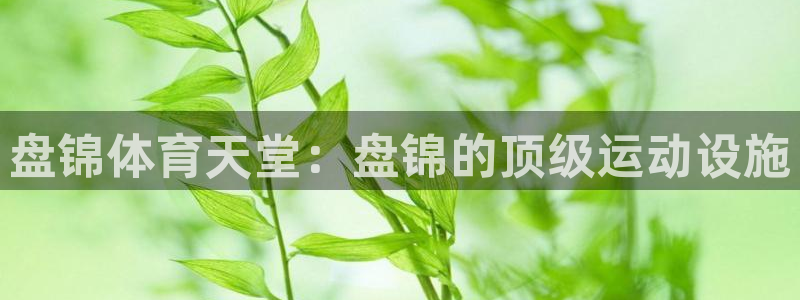 意昂体育3开户：盘锦体育天堂：盘锦的顶级运动设施