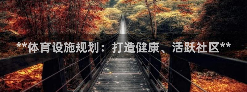 意昂3五金厂：**体育设施规划：打造健康、活跃社区*