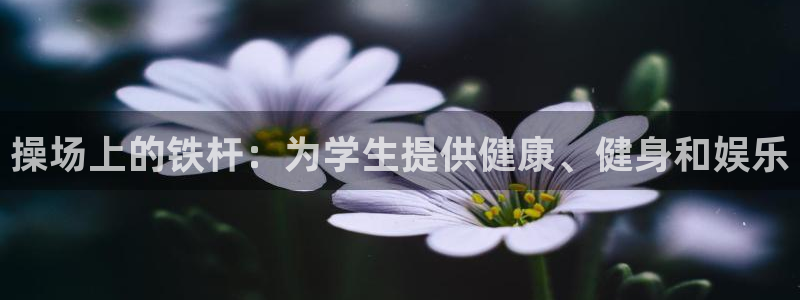 海南意昂体育3发展怎么样：操场上的铁杆：为学生提供健