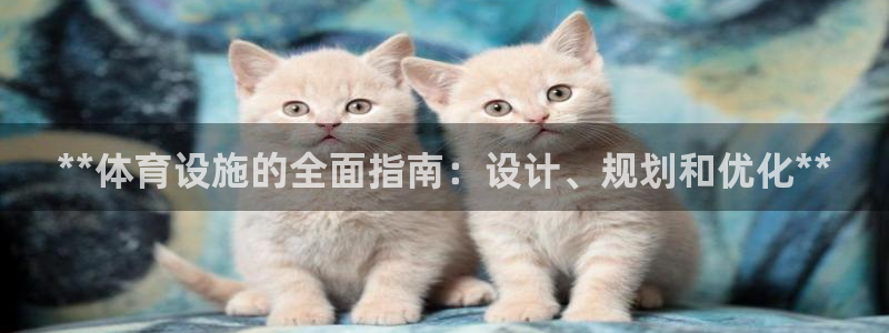 海南意昂体育3发展怎么样：**体育设施的全面指南：设