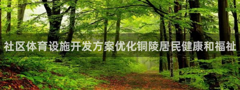 意昂3神州：社区体育设施开发方案优化铜陵居民健康和福