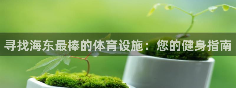 意昂3集团简介：寻找海东最棒的体育设施：您的健身指南