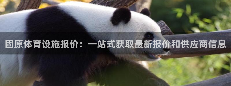 意昂集团官网：固原体育设施报价：一站式获取最新报价和