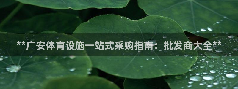 意昂3代理：**广安体育设施一站式采购指南：批发商大