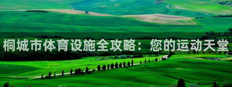 意昂体育3平台是正规平台吗