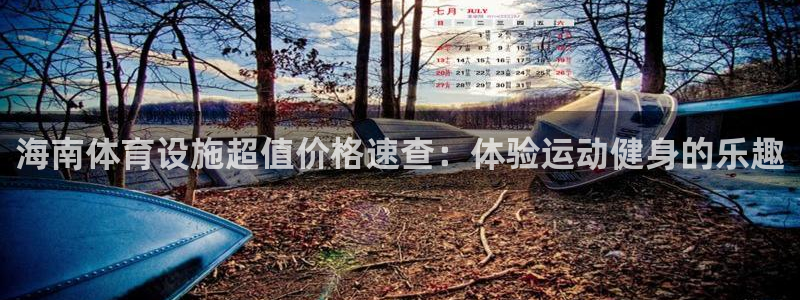 意昂体育3平台注册要钱吗是真的吗：海南体育设施超值价