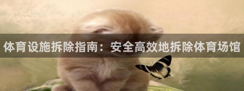 意昂体育3招商电话号码是多少号：体育设施拆除指南：安