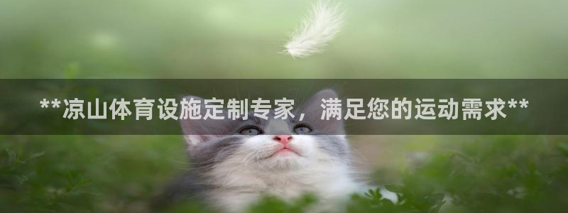 意昂3神州：**凉山体育设施定制专家，满足您的运动需