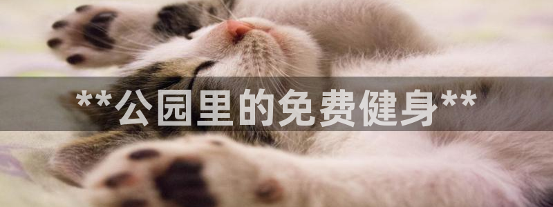 意昂3娱乐是那个系列的台子：**公园里的免费健身**