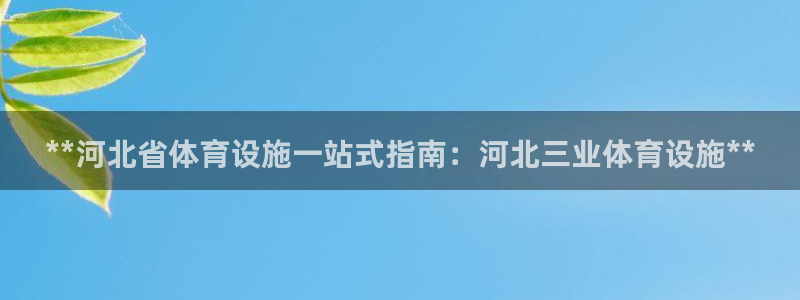 海南意昂体育3发展怎么样：**河北省体育设施一站式指