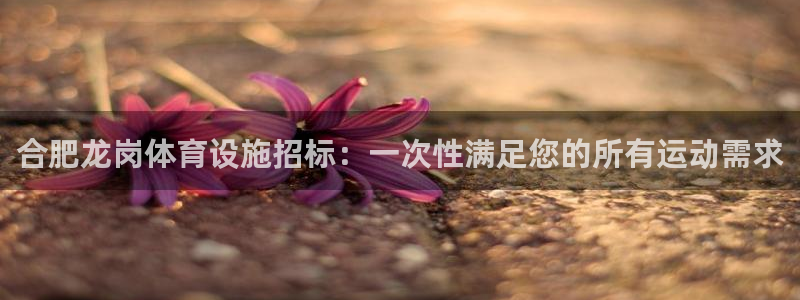 意昂3娱乐首页网站大全：合肥龙岗体育设施招标：一次性