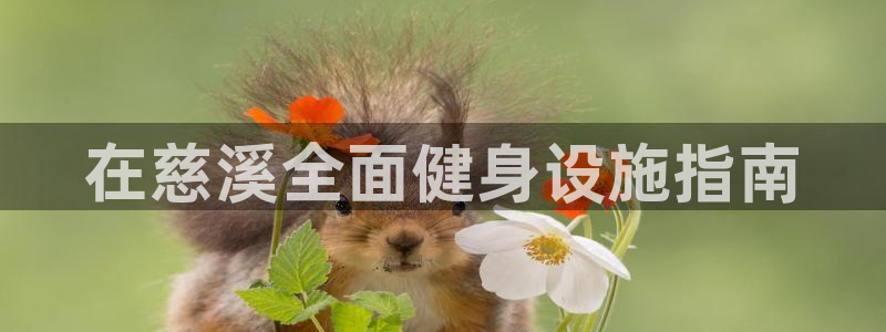 意昂体育3平台假的吗是真的吗吗：在慈溪全面健身设施指